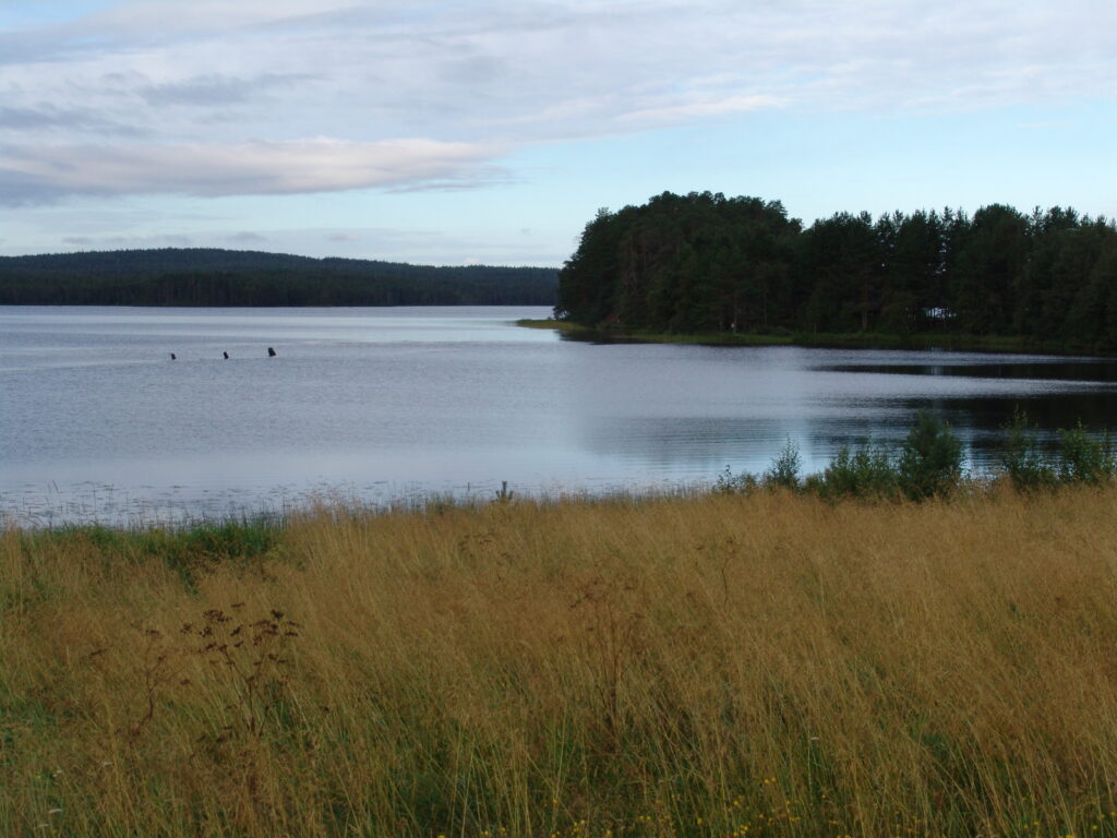 Venehjärvi